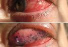 These are the signs that he is cr… See more 2