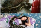 Woman slept with her python every night until the vet showed her a surprising ultrasound